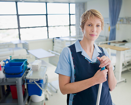 Cleaning professional Cleaning professional